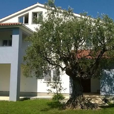 Apartments Villa Ulivo - Apartment Sol Fažana Екстериор снимка