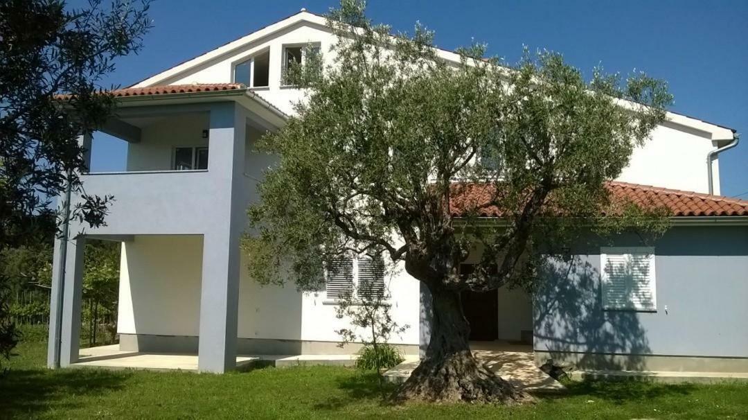 Apartments Villa Ulivo - Apartment Sol Fažana Екстериор снимка