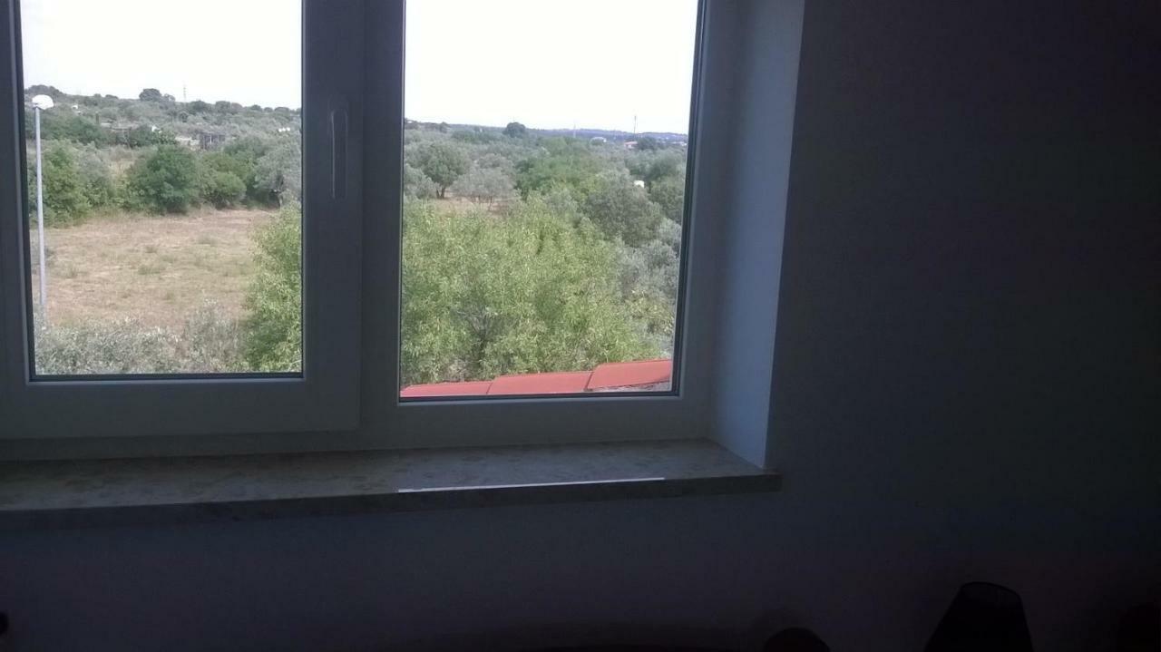 Apartments Villa Ulivo - Apartment Sol Fažana Екстериор снимка